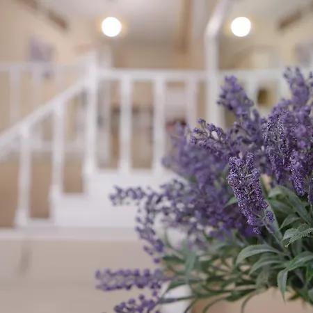 Family Apartments&suites דירה נאוס מרמרס